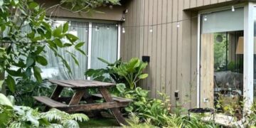 10 plantas ideales para crear un rincón tropical