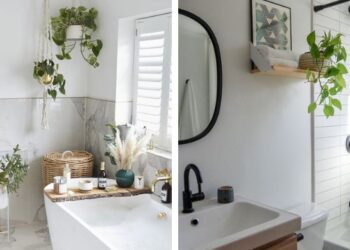 Las mejores plantas para tener en el baño