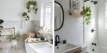 Las mejores plantas para tener en el baño