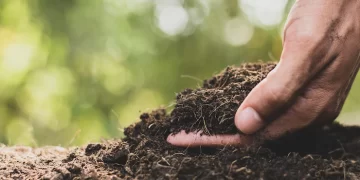 La importancia de cuidar el suelo