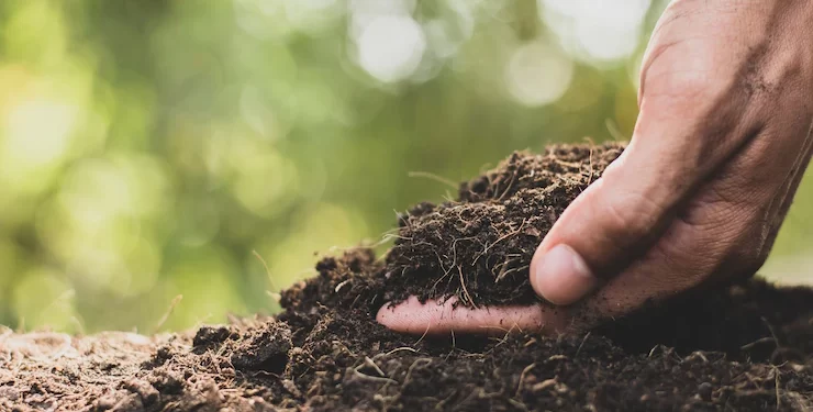La importancia de cuidar el suelo