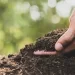La importancia de cuidar el suelo
