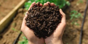 ¿Qué es el Bokashi? La palabra más tendry de la jardinería tiene un porque (con video)