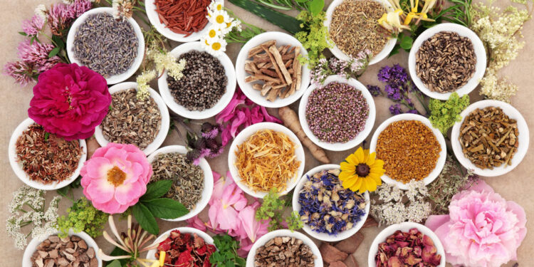 ¿Cómo extraer aceite de tus propias aromáticas?