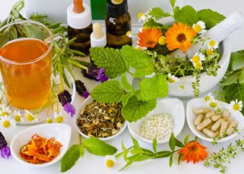 7 plantas medicinales: Un botiquín natural desde tu jardín o balcón