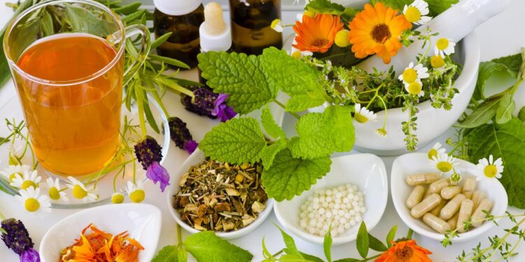 7 plantas medicinales: Un botiquín natural desde tu jardín o balcón