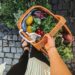 Frutas y verduras de estación: Qué consumir en septiembre