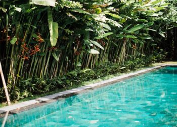 Plantas ideales para cultivar al borde de la pileta