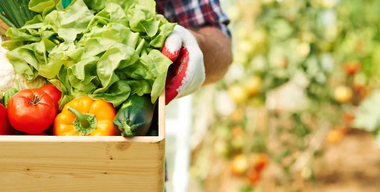 Huerta de verano y tips para mantenerla hidratada