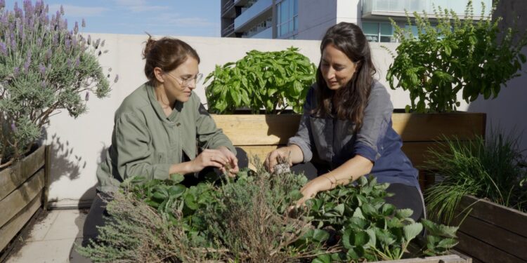 Tips de huerta urbana, por Vale Churba