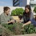 Tips de huerta urbana, por Vale Churba