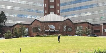 Jardines terapéuticos: la naturaleza colaborando en el bienestar de las personas