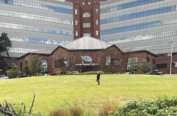 Jardines terapéuticos: la naturaleza colaborando en el bienestar de las personas