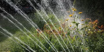 Cómo lograr un buen riego en verano y mantener las plantas siempre hidratadas (video)