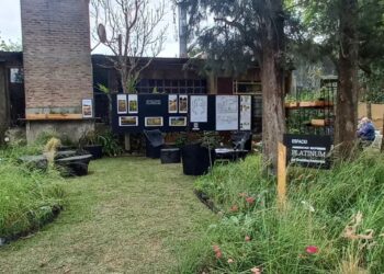 Praderas y especies nativas en cada diseño de Ernestina Anchorena (video)