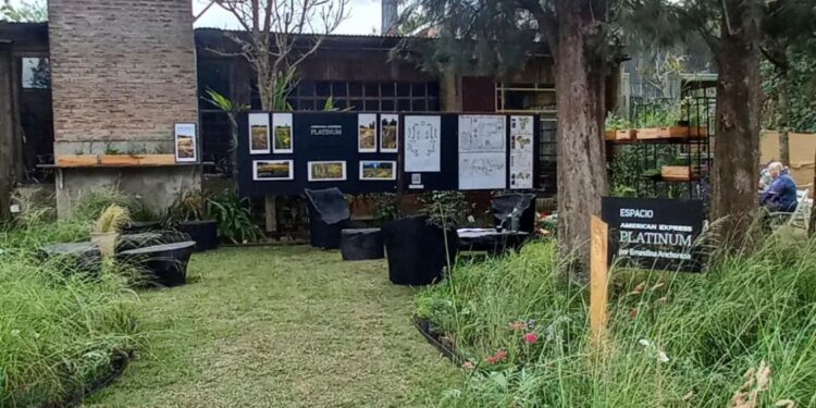 Praderas y especies nativas en cada diseño de Ernestina Anchorena (video)