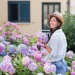 Temporada de hortensias (Hydrangea macrophylla): cómo potenciar su color