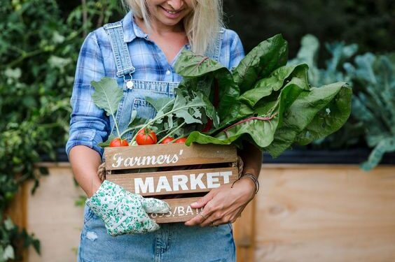 Frutas y verduras de estación: qué consumir en diciembre