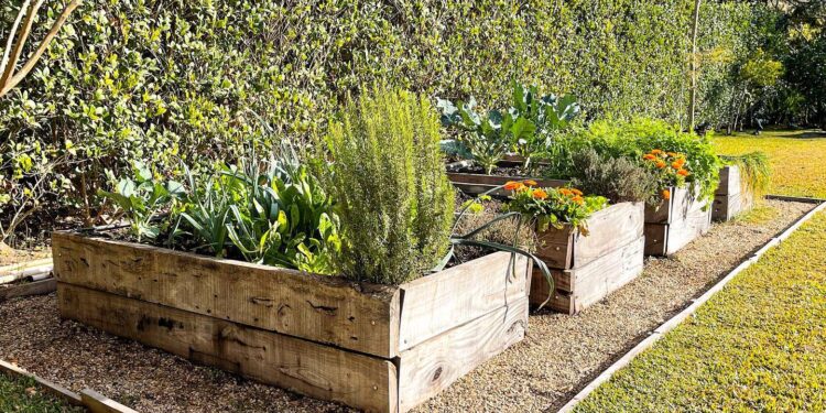 Huerta en casa: 5 cuentas de Instagram que deberías seguir para convertirte en un experto