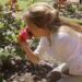 Curiosidades: Cómo se nombran las rosas por Connie Moreno Quintana (video)