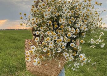 Las 5 flores que no fallan a la hora de enamorar