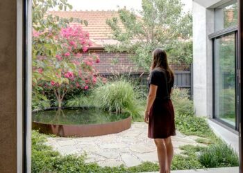 3 plantas acuáticas ideales para lograr un ecosistema perfecto en tu jardín