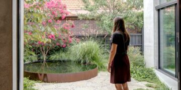 3 plantas acuáticas ideales para lograr un ecosistema perfecto en tu jardín