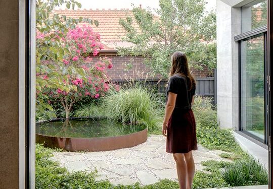 3 plantas acuáticas ideales para lograr un ecosistema perfecto en tu jardín