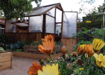 Secretos para lograr huerta ornamental que enamore por Gaby Escrivá (video)