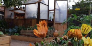 Secretos para lograr huerta ornamental que enamore por Gaby Escrivá (video)