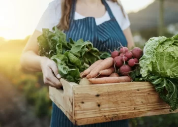 Frutas y verduras de estación: qué consumir en marzo