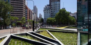 Techos verdes: por qué son tendencia y cómo instalarlos