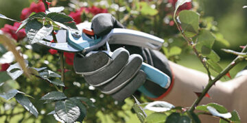 ¿Cómo surgen las tijeras de podar que cortan casi solas?