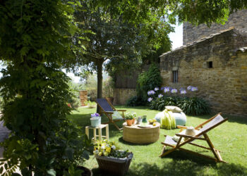 4 árboles ideales para crear un sector de sombra en el jardín