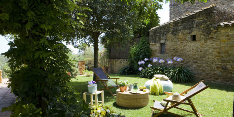 4 árboles ideales para crear un sector de sombra en el jardín