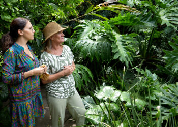 Paisajismo: Un jardín que se fue adaptando a las necesidades de una familia (video)