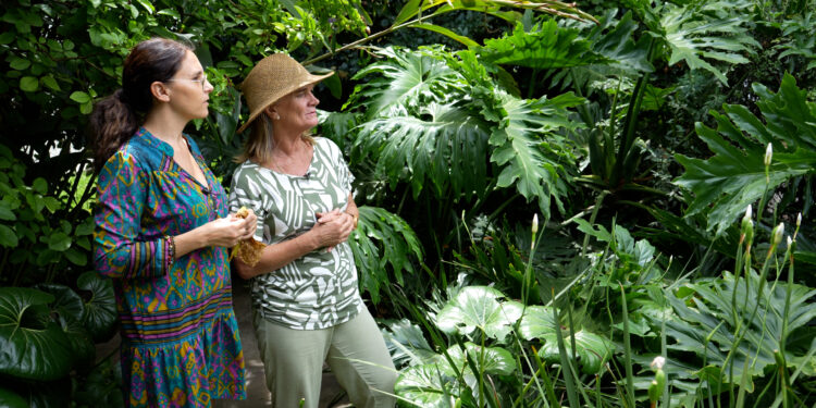 Paisajismo: Un jardín que se fue adaptando a las necesidades de una familia (video)