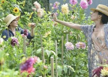 Jardinería: 5 tareas fundamentales que tenés que hacer antes que termine el verano