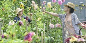 Jardinería: 5 tareas fundamentales que tenés que hacer antes que termine el verano