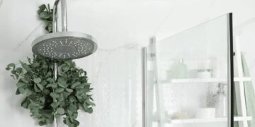 Ramos de eucalipto en la ducha: la tendencia que es furor en esta época y transforma el baño en un spa