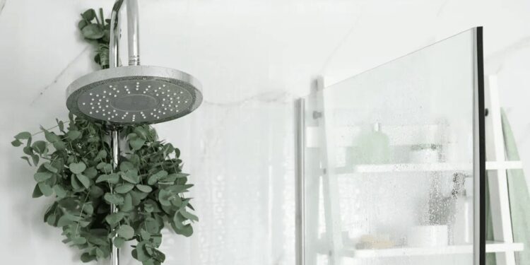 Ramos de eucalipto en la ducha: la tendencia que es furor en esta época y transforma el baño en un spa
