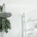 Ramos de eucalipto en la ducha: la tendencia que es furor en esta época y transforma el baño en un spa