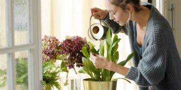 Tomá nota: 4 métodos diferentes para regar tus plantas en macetas