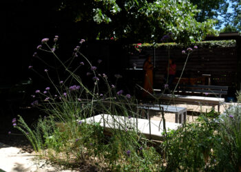 Así es el jardín de grava de la paisajista Valeria Lennon