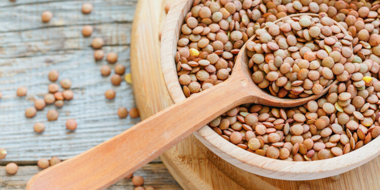 Agua de lentejas: uno de los mejores fertilizantes naturales para tus plantas y tu jardín