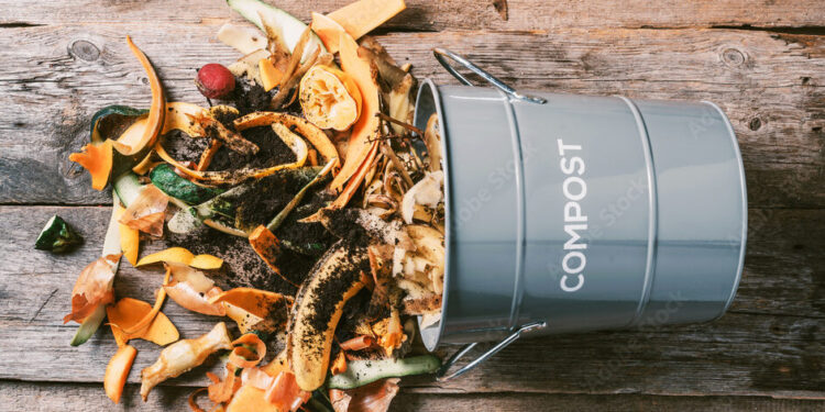 Compost: la clave para mantener el jardín sano todo el año