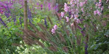 Cómo tener un cantero lleno de flores en pleno otoño