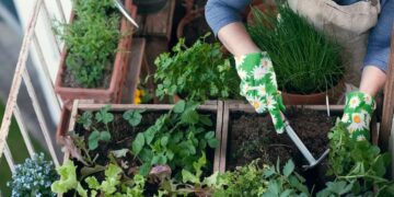 Huerta en casa: qué sembrar en agosto y cómo cuidarla