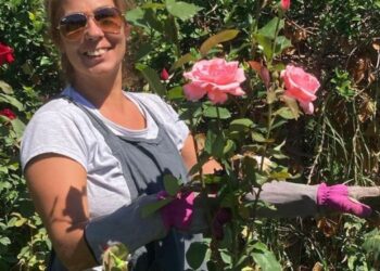 El mundo de las rosas, by la rosicultora Agustina Hilbert