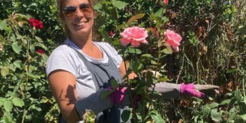 El mundo de las rosas, by la rosicultora Agustina Hilbert